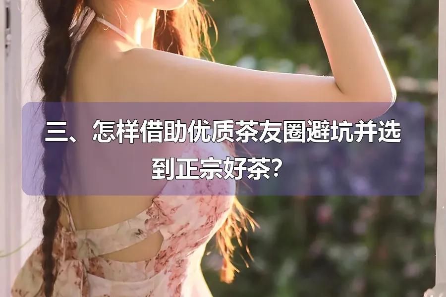 三、怎样借助优质茶友圈避坑并选到正宗好茶?